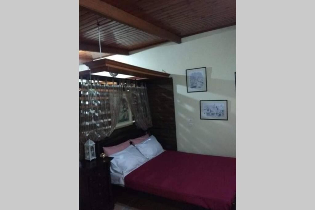 Green Hill Studio Corfu Town Εξωτερικό φωτογραφία