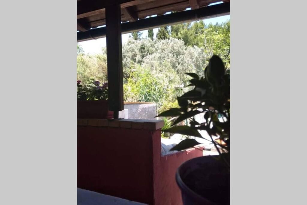 Green Hill Studio Corfu Town Εξωτερικό φωτογραφία